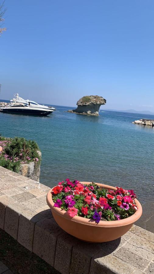 Villa Martina Suite Apartament Lacco Ameno  Екстериор снимка
