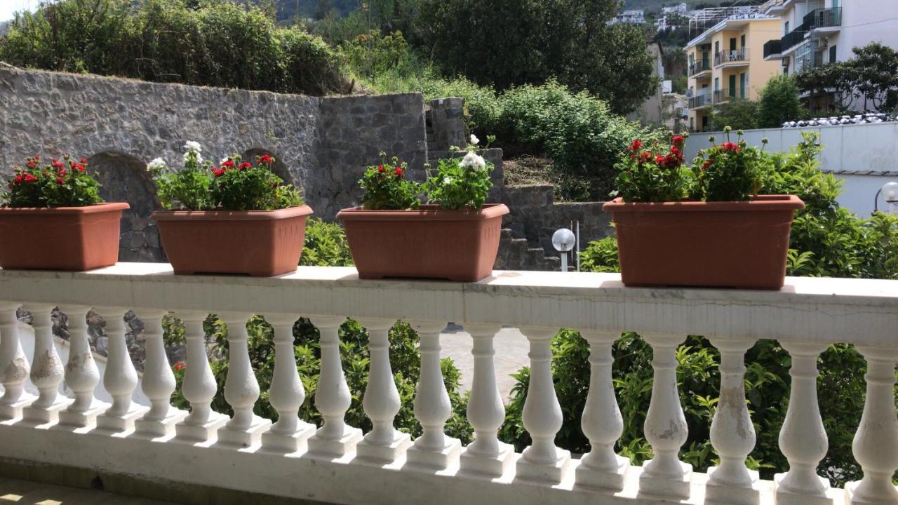 Villa Martina Suite Apartament Lacco Ameno  Екстериор снимка